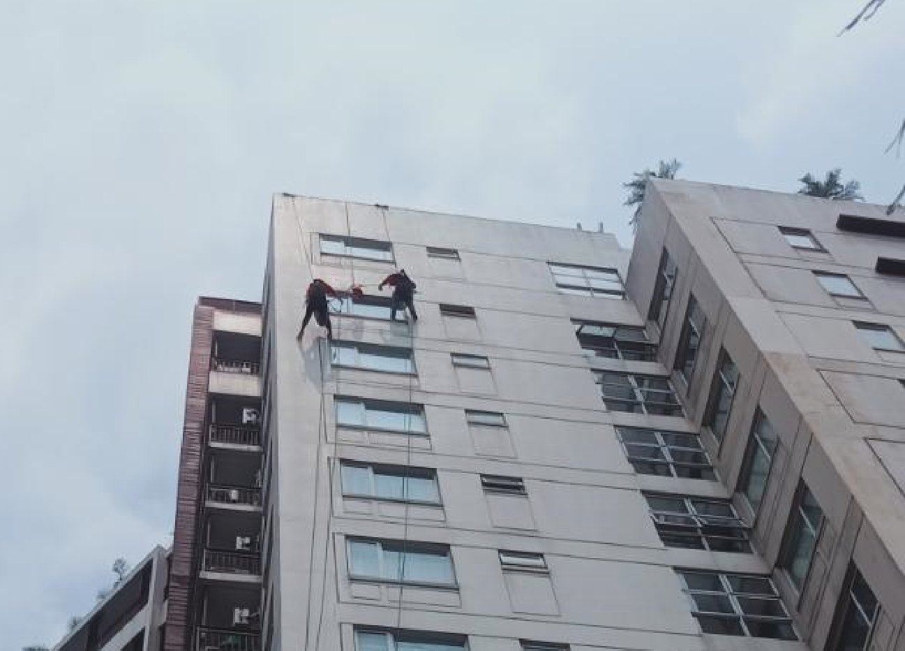 spider_coating_project